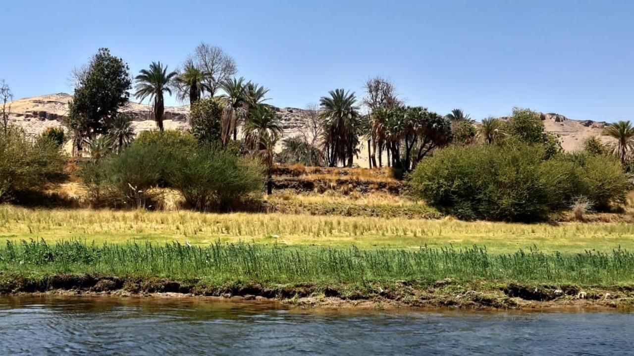 Habibi Nubian Guest House-Nubian Hospitality Aswan Exteriör bild