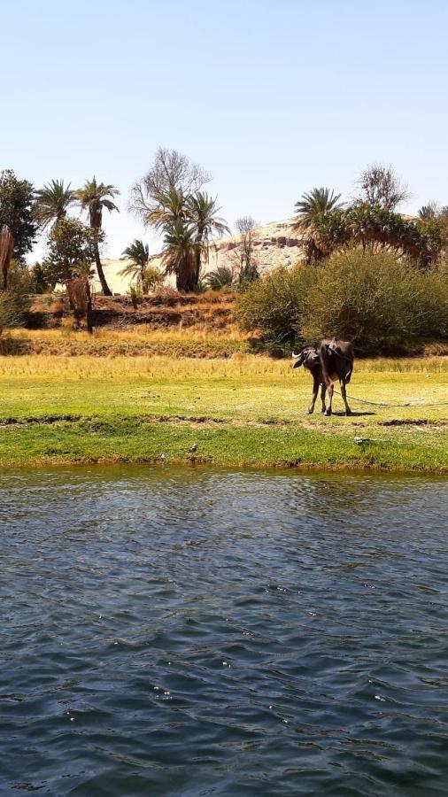 Habibi Nubian Guest House-Nubian Hospitality Aswan Exteriör bild